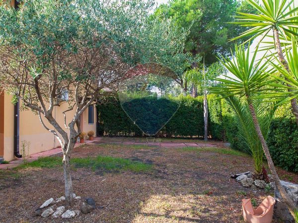 Casa Semindipendente Santa Maria La Stella, Aci Sant'Antonio, CT Affitto - Foto 4