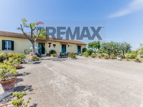 Cascina/Casale Casalotti, Roma, RM Vendita - Foto 4