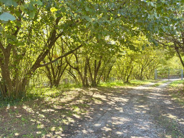 Villetta bifamiliare Centro, Avellino, AV Vendita - Foto 4