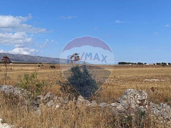 Terreno San Giovanni Rotondo, FG Vendita - Foto 3