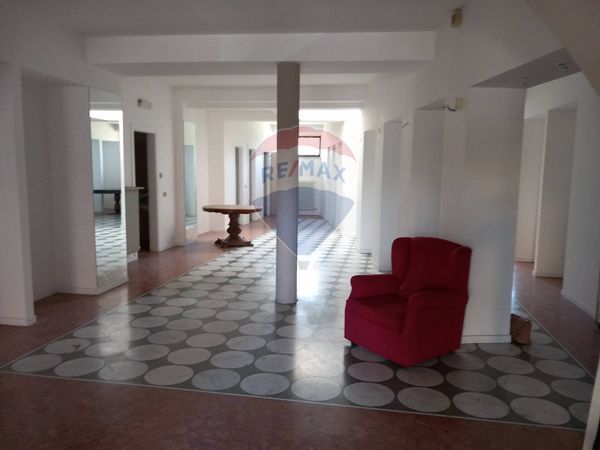 Negozio S.M. degli Angeli, Assisi, PG Affitto - Foto 2