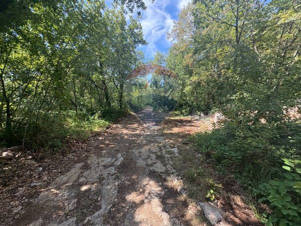 Terreno Sales, Sgonico, TS Vendita - Foto 4