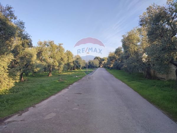 Capannone Industriale Bisceglie, BT Vendita - Foto 3