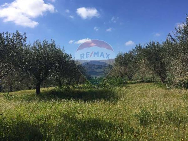 Terreno Marineo, PA Vendita