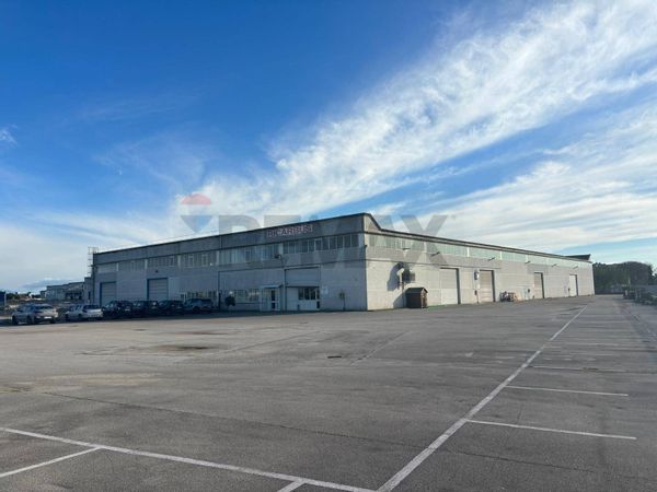 Capannone Industriale Pomezia, RM Vendita