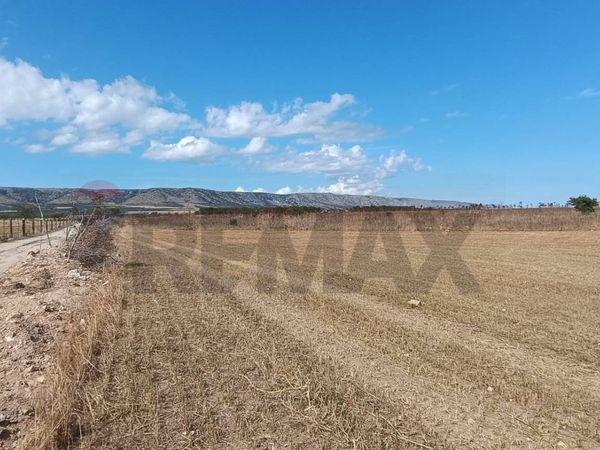 Terreno San Giovanni Rotondo, FG Vendita - Foto 4