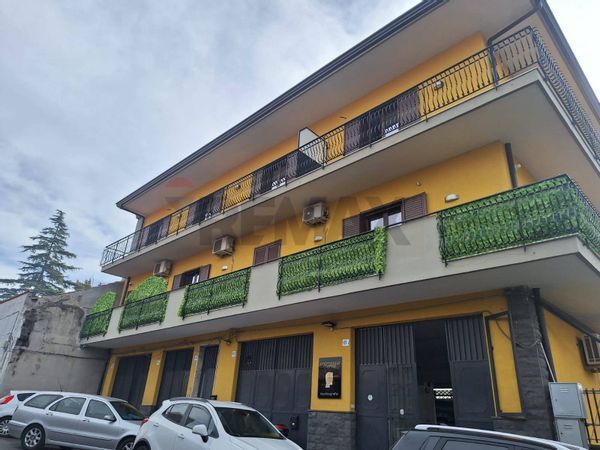 Appartamento Mascalucia, CT Affitto