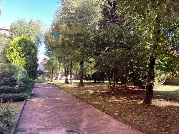 Appartamento Saronno, VA Affitto - Foto 3