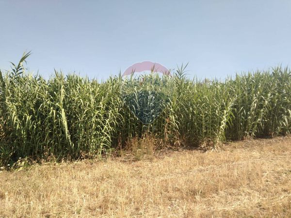 Cascina/Casale Monterosso Almo, RG Vendita - Foto 3