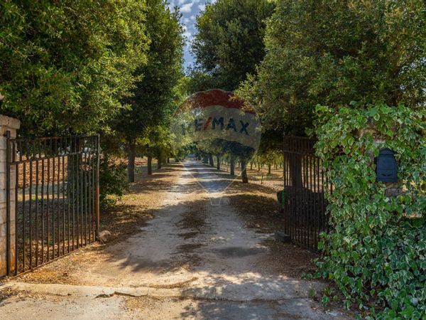 Villa o villino Monopoli, BA Vendita - Foto 4