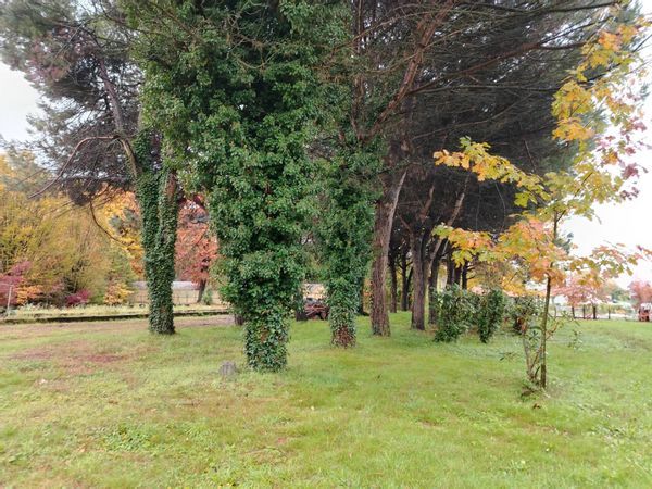 Terreno Edificabile Cassano Magnago, VA Vendita - Foto 4
