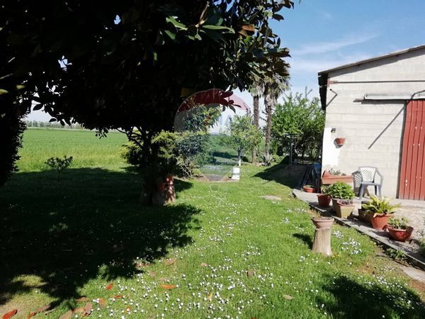 Cascina/Casale Lagosanto, FE Vendita - Foto 4