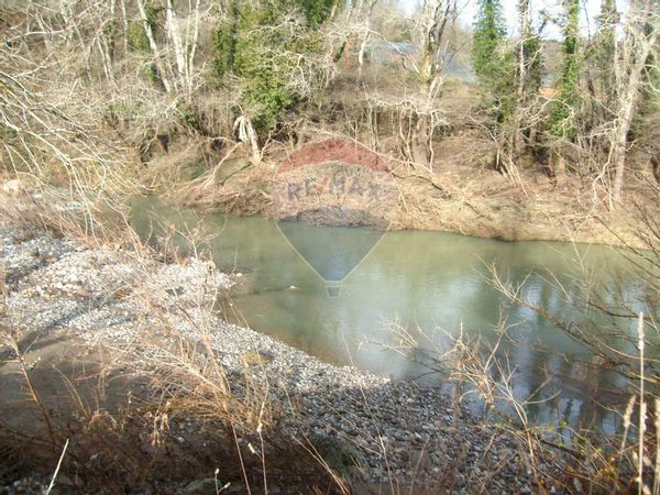 Cascina/Casale Ischia di Castro, VT Vendita - Foto 4