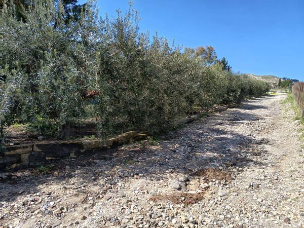 Villa o villino Ramacca, CT Vendita - Foto 3