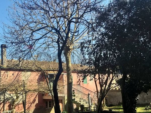Cascina/Casale Pomarance, PI Vendita - Foto 3