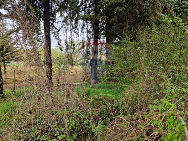 Terreno Industriale Cerchio, AQ Vendita - Foto 3