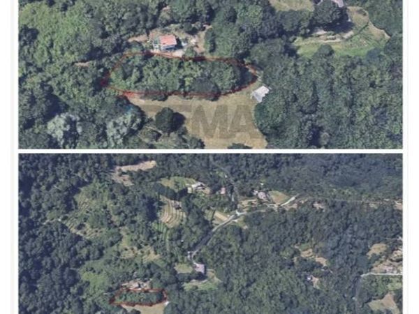 Rustico Lumarzo, GE Vendita