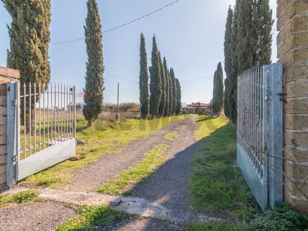 Villa singola Campagna Montalto Di Castro, Montalto di Castro, VT Vendita - Foto 3