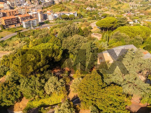 Villetta bifamiliare Marino Centro, Marino, RM Vendita - Foto 3