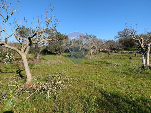Baita/Chalet/Trullo Polignano a Mare, BA Vendita - Foto 3