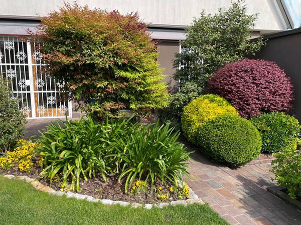 Villa singola Arese, MI Affitto - Foto 4