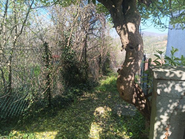 Casa Indipendente Cairo Montenotte, SV Vendita - Foto 2
