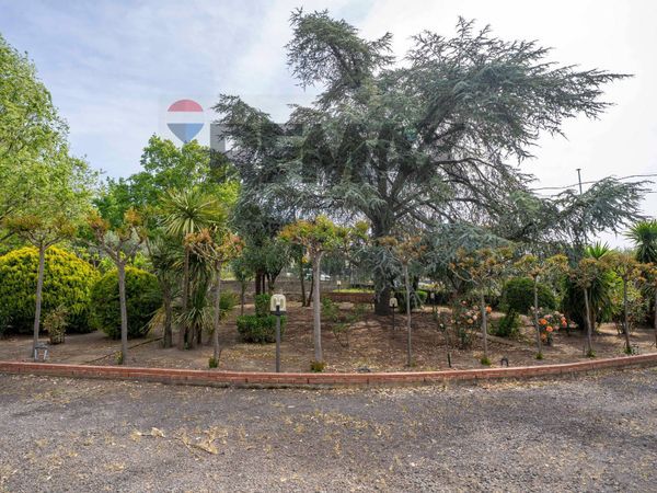 Villa singola Ragalna, CT Vendita - Foto 4