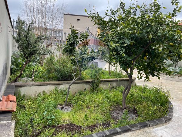 Casa Indipendente Adrano, CT Vendita - Foto 2