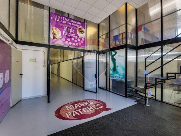 Capannone Industriale Ladispoli, RM Vendita - Foto 4