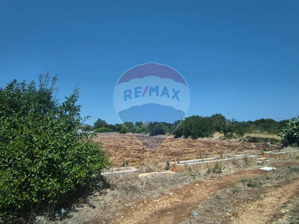 Rustico Polignano a Mare, BA Vendita - Foto 2