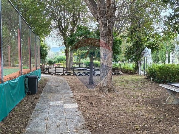 Ristorante Tuoro sul Trasimeno, PG Vendita - Foto 4