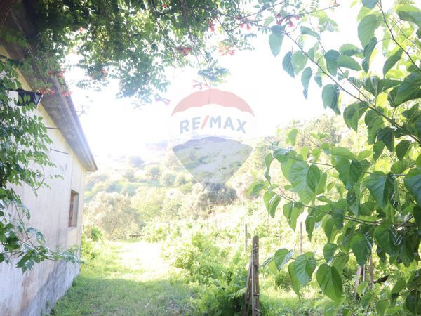 Casa Indipendente Castiglione di Sicilia, CT Vendita - Foto 3