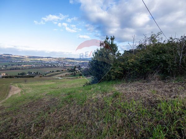 Terreno Edificabile Loreto, AN Vendita - Foto 4