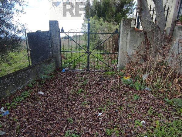 Cascina/Casale Belpasso, CT Vendita - Foto 2