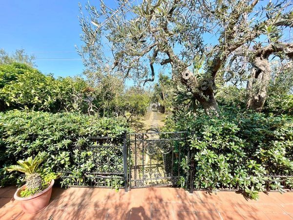 Villa singola Cinisi, PA Vendita - Foto 4