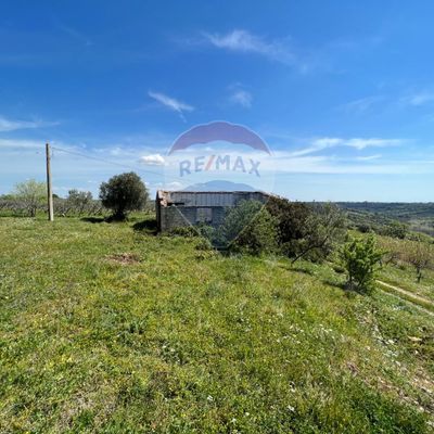 Terreno Pisticci, MT Vendita - Foto 7