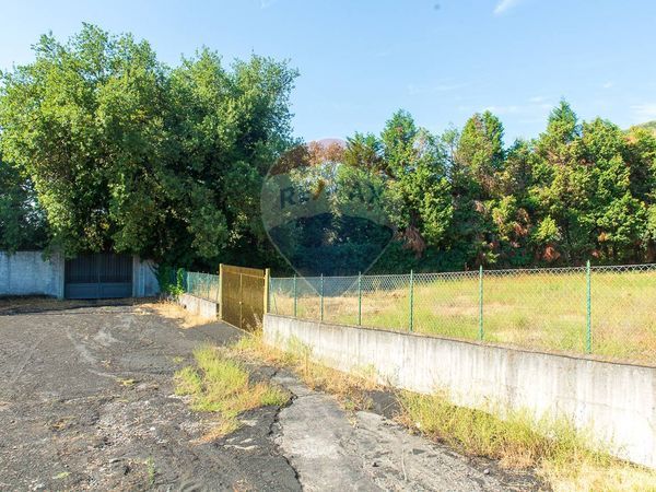 Terreno Zafferana Etnea, CT Affitto - Foto 4