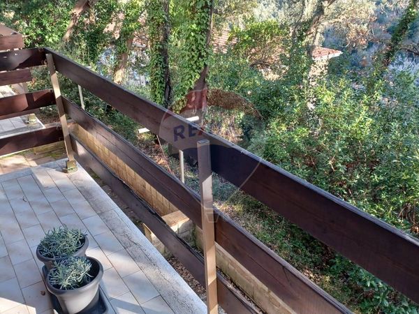 Appartamento Sassetta, LI Vendita - Foto 2