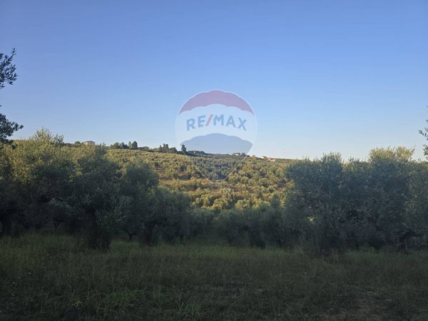 Terreno Selvaiella, Moscufo, PE Vendita - Foto 4