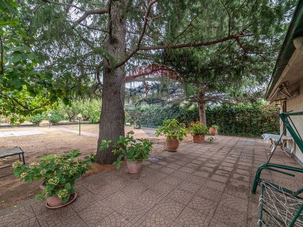 Casa Indipendente Montelaguardia, Randazzo, CT Vendita - Foto 2