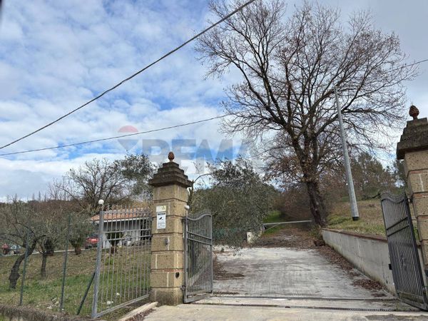 Terreno Ruviano, CE Vendita - Foto 2