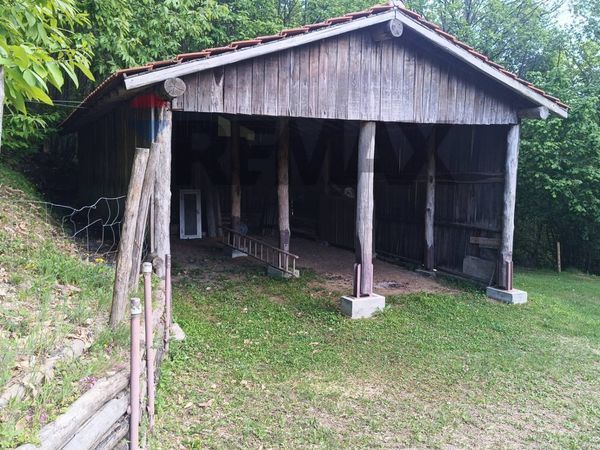 Cascina/Casale Bormida, SV Vendita - Foto 2