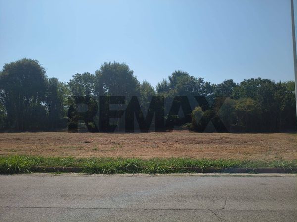 Terreno Edificabile Piazzola sul Brenta, PD Vendita - Foto 3