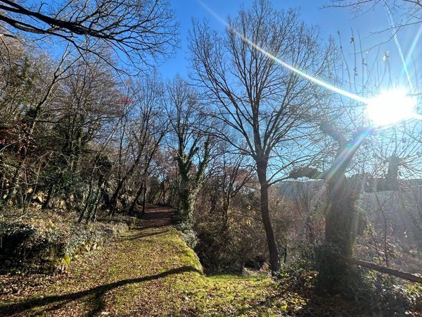 Rustico Badia Calavena, VR Vendita - Foto 4