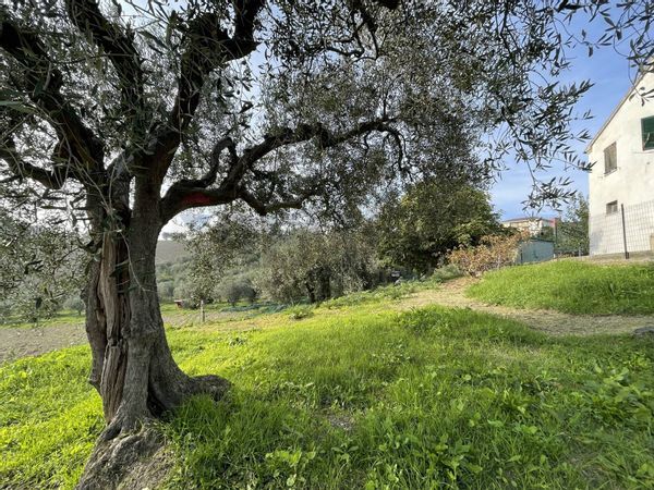 Casa Semindipendente Belvedere Ostrense, AN Vendita