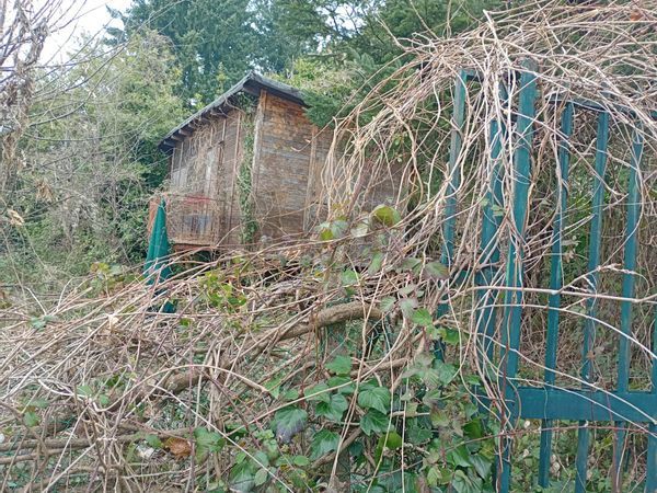 Baita/Chalet/Trullo Panicagliora, Marliana, PT Vendita - Foto 3