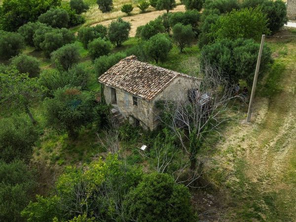 Rustico Avenale, Cingoli, MC Vendita