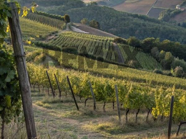 Cascina/Casale Cogollo, Tregnago, VR Vendita - Foto 2