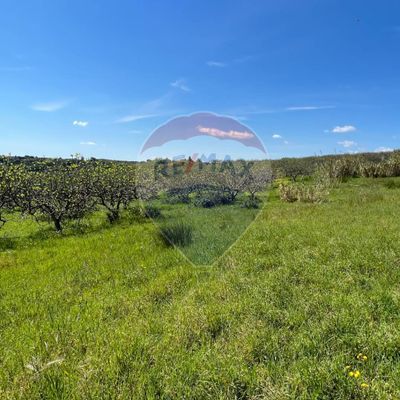 Terreno Pisticci, MT Vendita - Foto 6