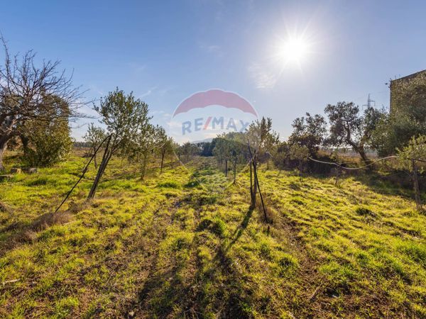 Rustico Trani, BT Vendita - Foto 4